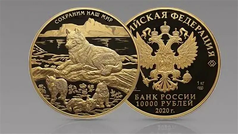 Фора банк монеты