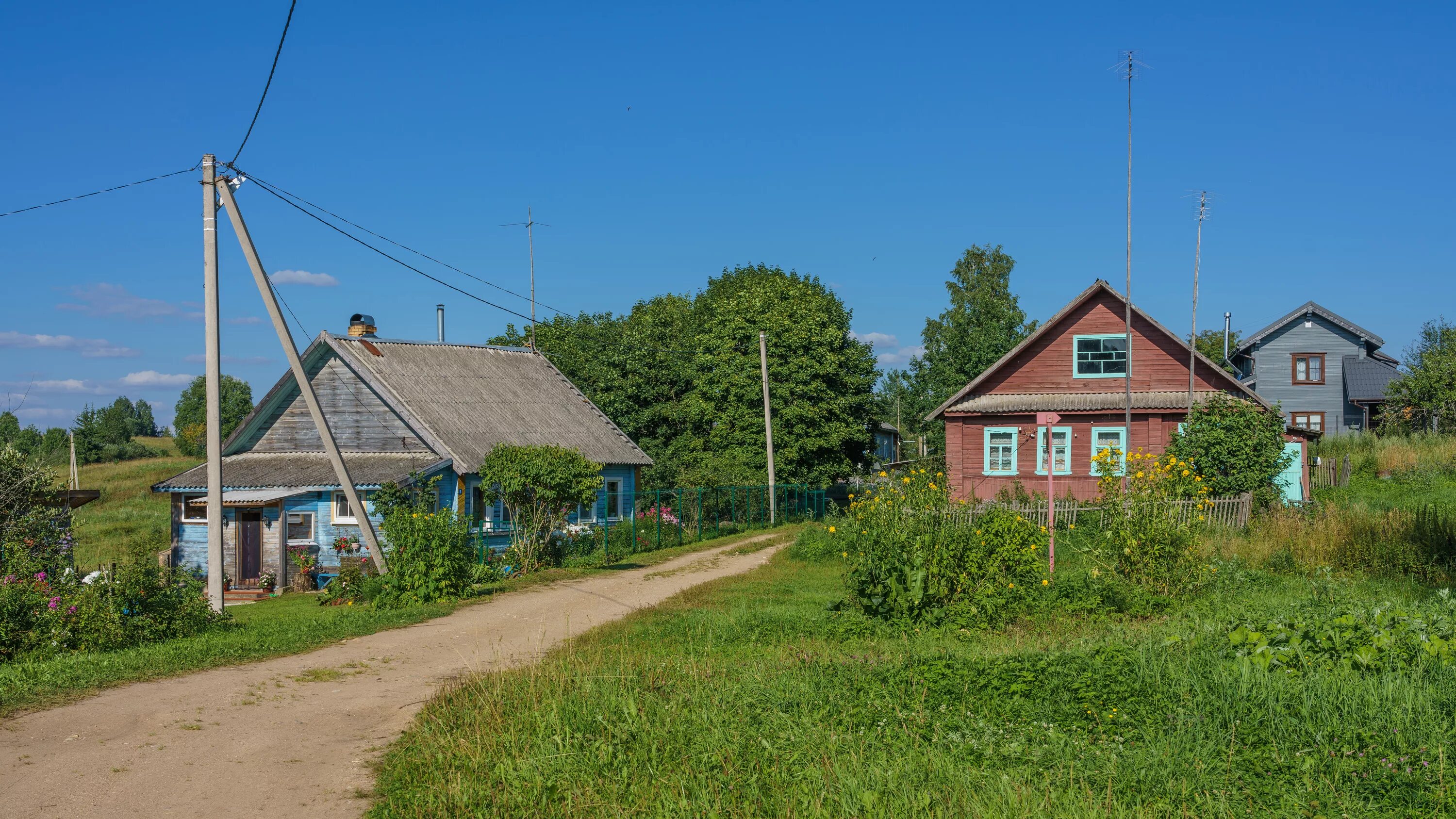 Рощино Новгородская область Валдайский район. Деревня Рощино Валдайский район. Рощинское сельское поселение Валдайский район Новгородская область. Деревня Рощино Новгородская область