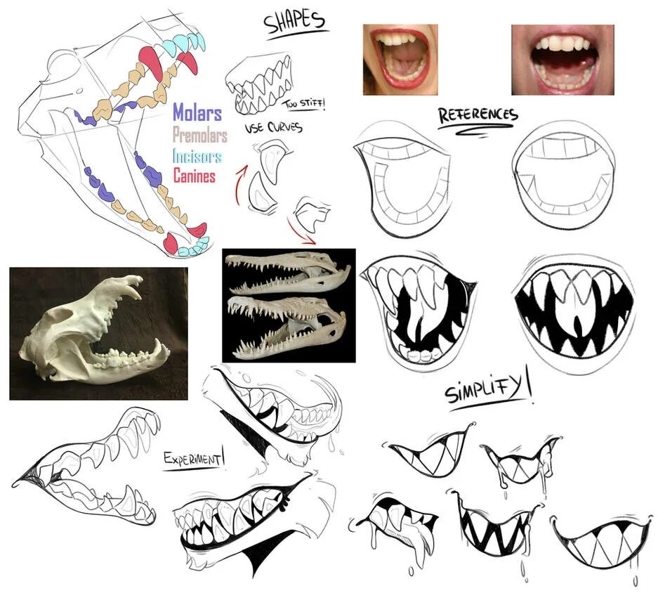 Пасть разбор. Острые зубы туториал. Зубы туториал. Острые зубы референс. Зубы монстра референсы.