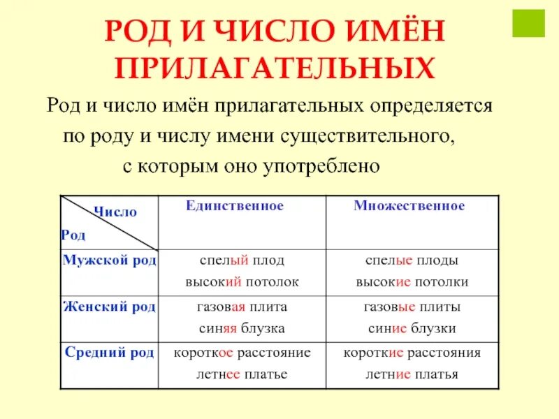 Род число падеж имени прилагательного можно определить. Как определить число у прилагательных. род и число имен прилагательных. прилагательное род и число. число имен прилагательных.