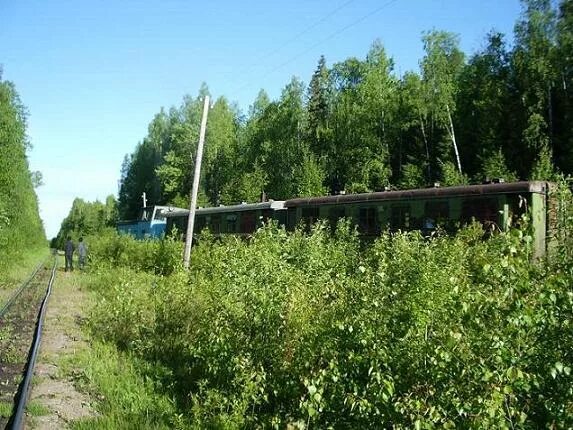Лодейное архангельская область. Погода в прокшино вологодская. Погода в прокшино вологодская. Солза прокшино дорога. Лодейное поле — вытегра — прокшино — плесецк — брин-наволок.