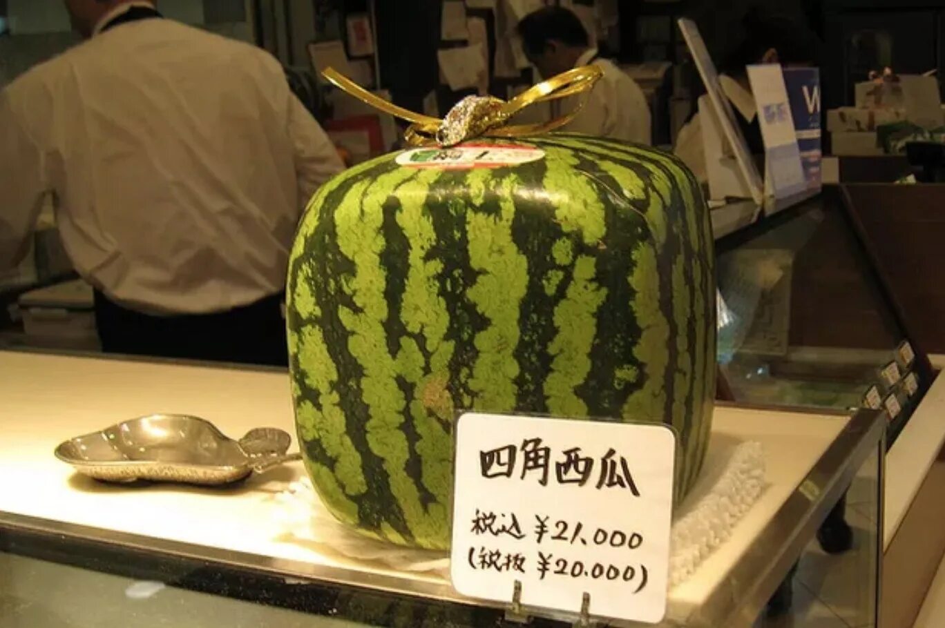 Самый дорогой овощ. Японские квадратные арбузы. Квадратные арбузы в Японии. Квадратные арбузы сорт. Японские дорогие фрукты.