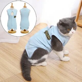 Восстановление кошки