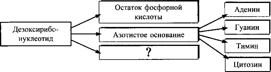 Рассмотрите предложенную схему.знаете в ответе. Сост схему\таблицу системы образ-я в Британии. Рассмотрите предложенную схему с пробирками.знаете в ответе.