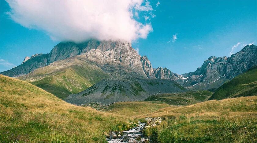 Alaska горы. Вереск норвегия. Wild mountain. Abkhazia wild mountain race 2019. Доломиты сечеда.