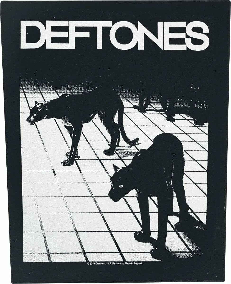 Deftones смысл песен. Deftones концерт. Дефтонес обложка. Deftones обложка. Deftones альбомы.