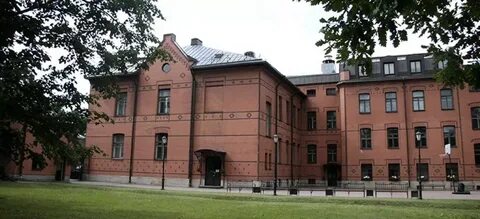 Правые санкт петербурга