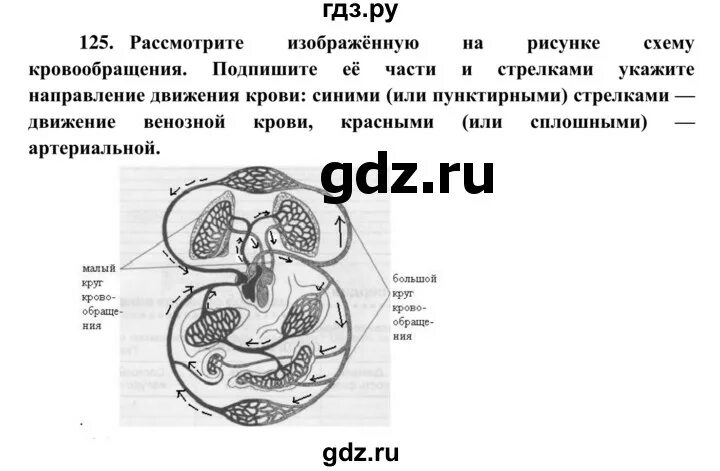 Биология 8 класс рабочая тетрадь с дельфином. Рабочая тетрадь по биологии 8 класс Сонин номер 125. Гдз биология 8 класс Сонин. Рисунок 125 биология 8 класс. Пищеварение 8 класс Сонин.