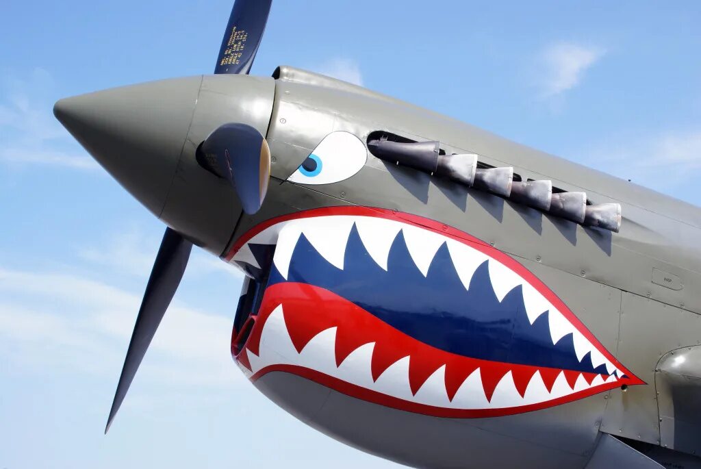 Самолет с зубами. Самолет пасть. Акула самолет. P40 mustang самолет. Самолет пасть.