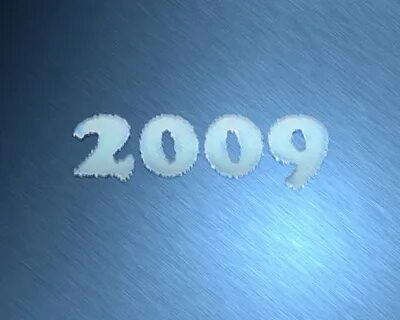 2009 год