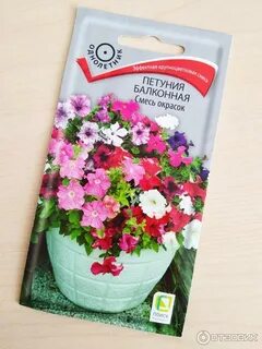 Петуния смесь окрасок отзывы