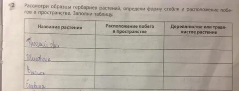 Рассмотрите образец