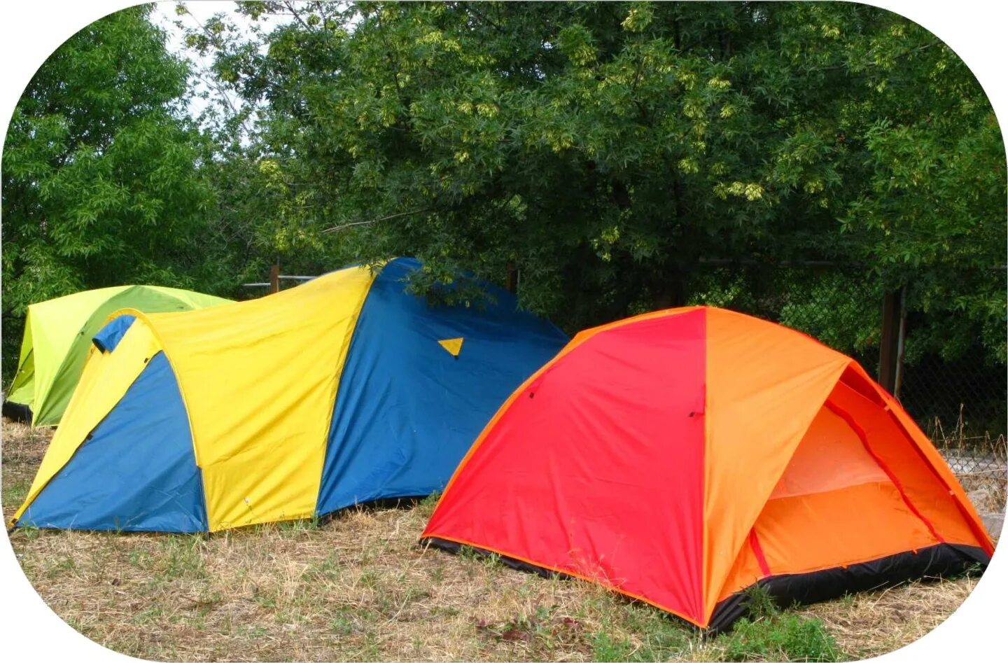 Меню палаточный лагерь. Палаточный городок. Лагерь с палатками. Кемпинг в Крыму. Палаточный городок в Крыму.