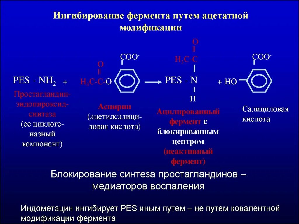 Ингибирование ферментативной реакции. Смешанное ингибирование. ингибирование ферментов. кинетические зависимости ингибирования ферментов. ингибиторы ферментативных реакций.