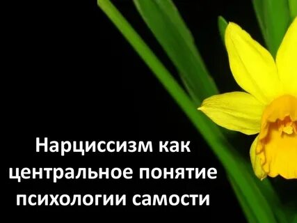 Нарцисс психология