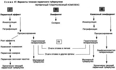 Первичный туберкулез течение