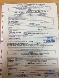 Ркф проверить клеймо