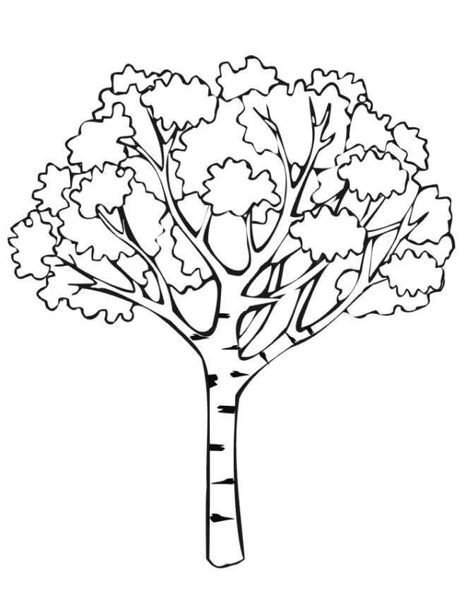 Arbol De Otoño Para Colorear