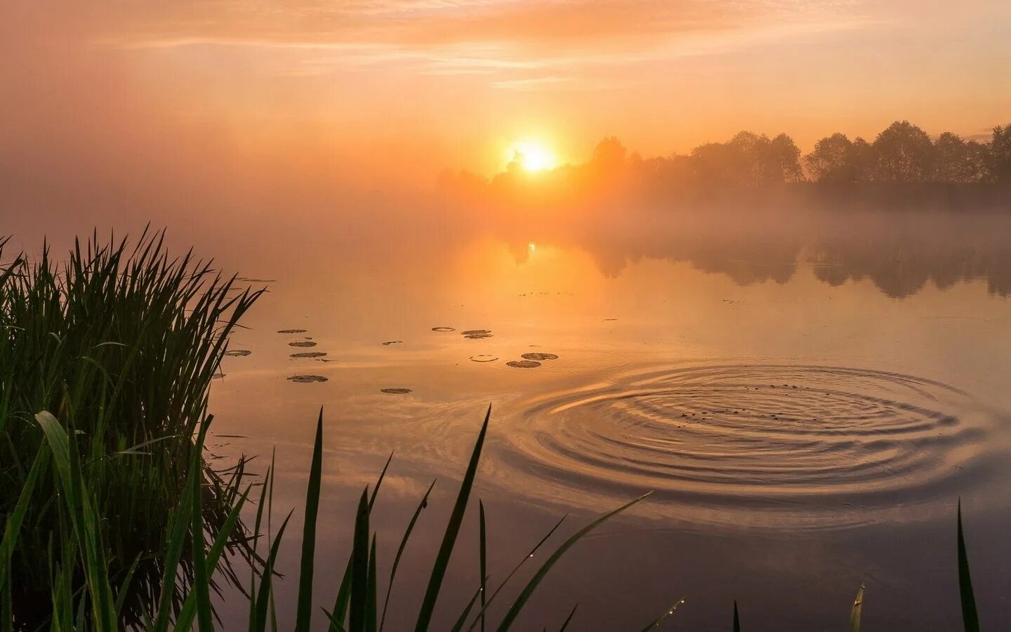 Тихо тихо ни души. Рассвет на озере. Рассвет на реке. Утренний рассвет. Лето утро озеро.