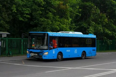 Автобуса 20 лет