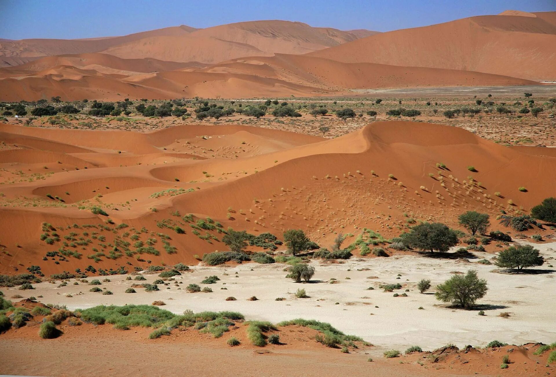 10 самых больших пустынь в мире. Пустыня Намиб. Sossusvlei Намибия. Пустыня Намиб в Африке. Пустыня сахара и Намиб.