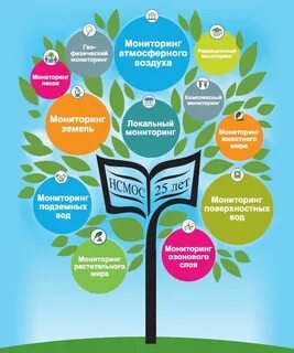 Презентация зеленые школы