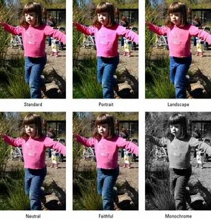Picture styles