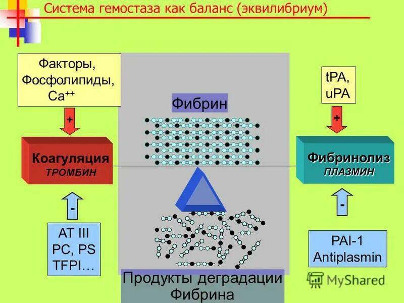 Продукты распада тканей. Продукты распада фибрина. Распад фибрина, продукты деградации. Образование продуктов деградации фибрина. Продукты деградации фибрина вызывают.