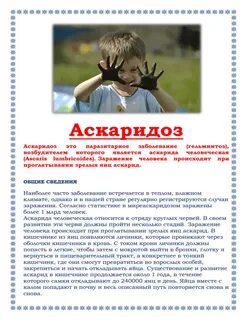 Для предотвращения аскаридозом необходимо