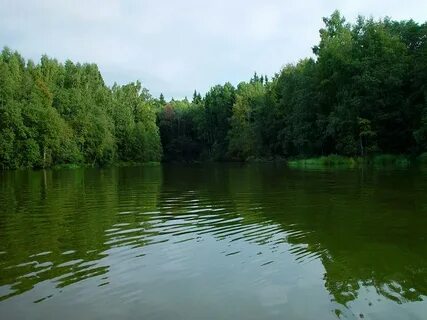 Водохранилище шаховская