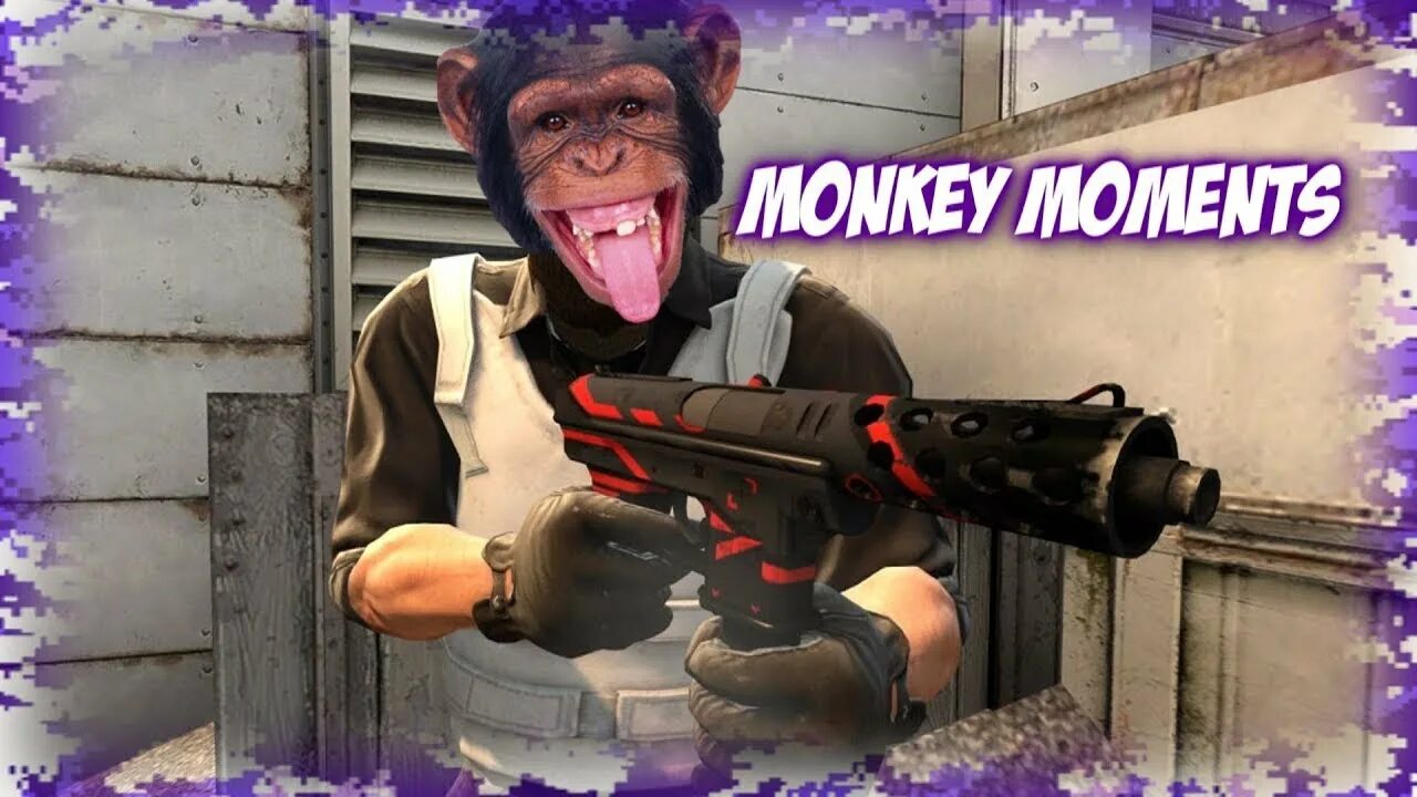 Kings cs go