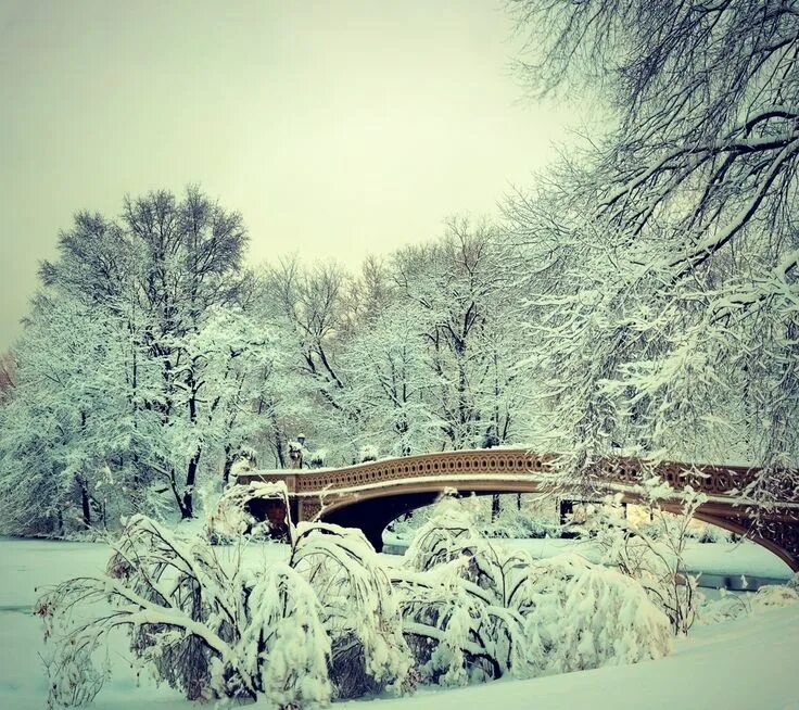 Искусство Зимние сцены, Хэллоуин фотографии, Зима