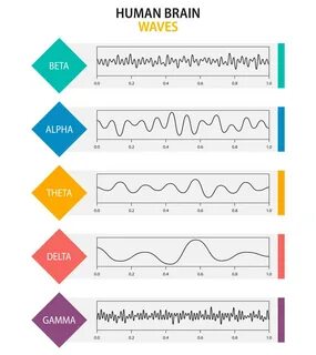 Beta, alpha, theta, delta, gamma brain waves. 