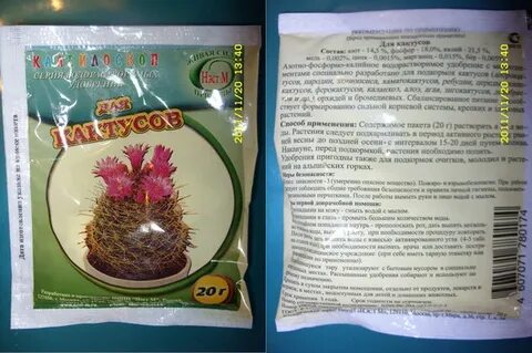 Удобрение для денежного дерева