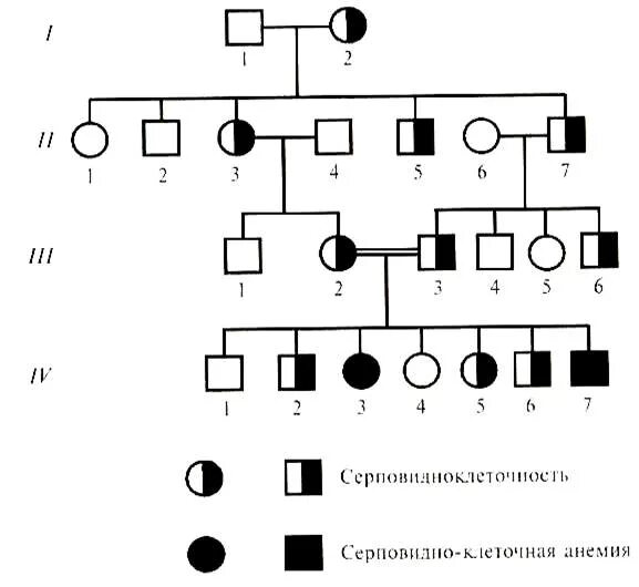 Аутосомно-рецессивный Тип наследования схема. Схема наследования серповидноклеточной анемии. Серповидноклеточная анемия Тип наследования. Серповидноклеточная анемия Тип наследования родословная.