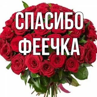Спасибо выйди