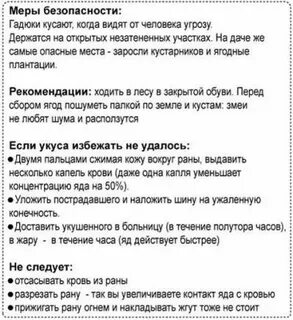 Антидот от укуса гадюки
