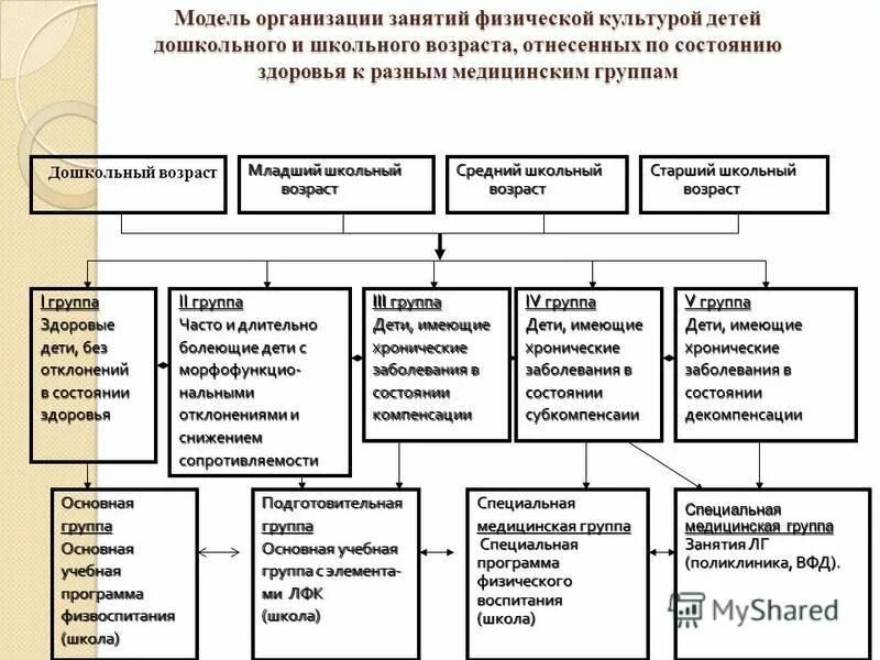 Физическая культура схема. Группы физического воспитания. Медицинские группы по физическому воспитанию. Медицинская группа для занятий физической культурой. Медицинская группа обучающегося