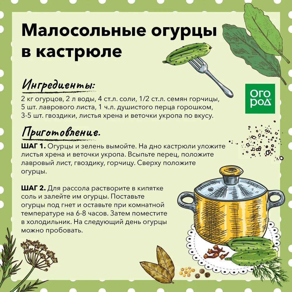Рецепт огурцов в кастрюле. Малосольные огурцы в кастрюле рецепт. рецепты напитков в домашних условиях в кастрюле.
