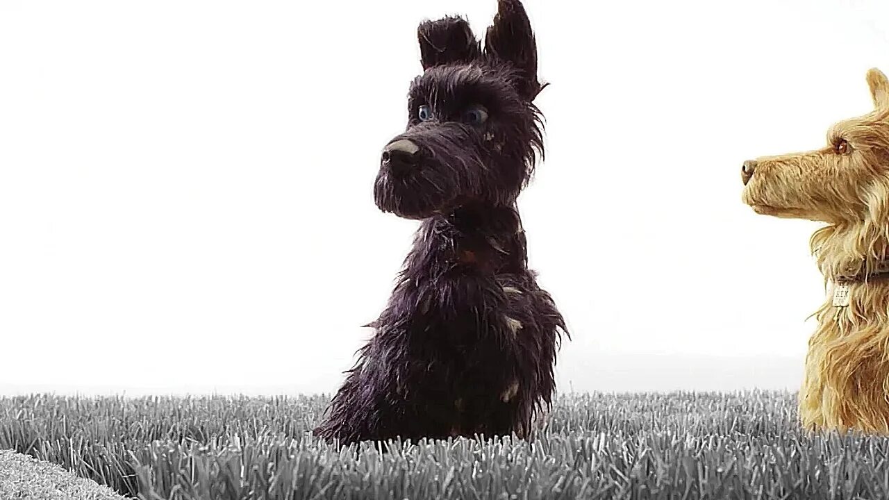 Остров собак на русском. Остров собак / Isle of Dogs (2018). Остров собак шеф.