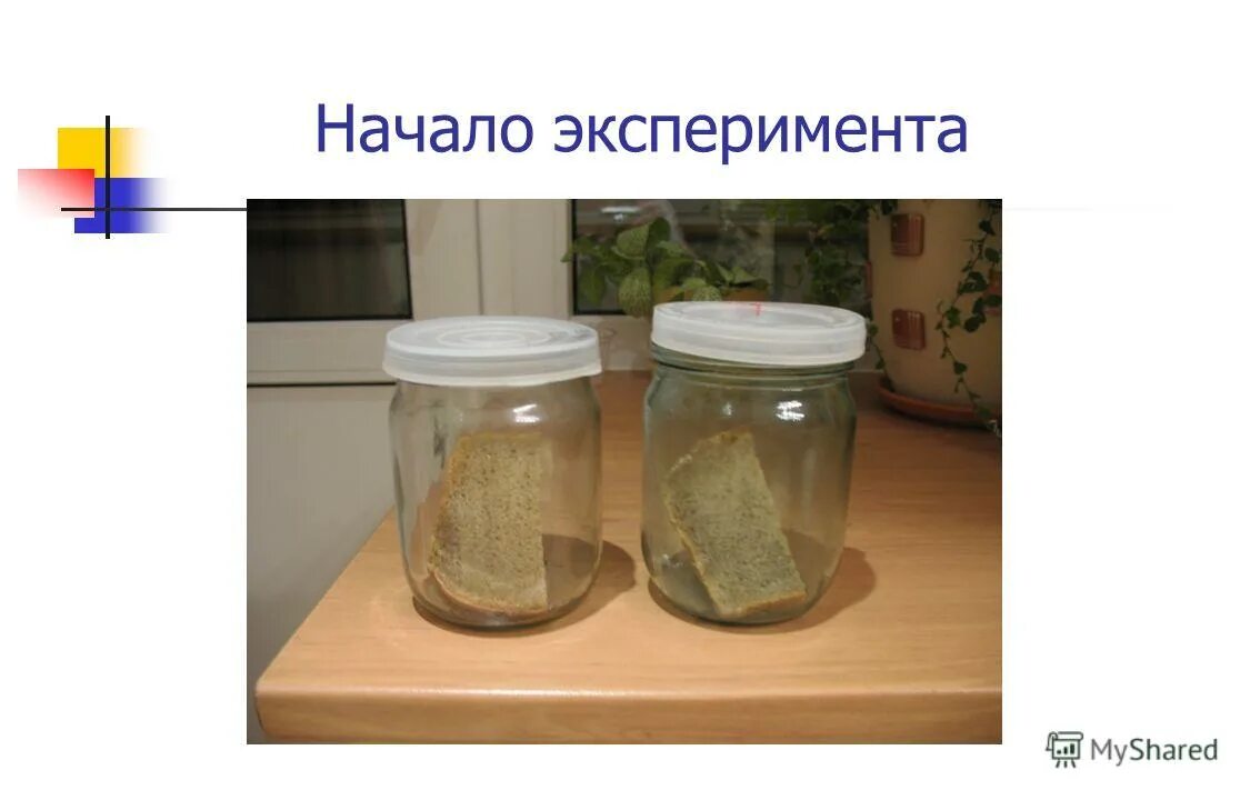 Начать эксперимент. Начать эксперимент