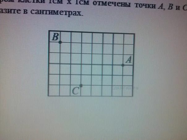 Размер клетки 1х1 это сколько. На клетчатой бумаге с размером клетки 1см x 1см. На клетчатой бумаге с размером клетки 1 см 1 см отмечены точки а в с. На клетчатой бумаге отмечены точки. На клетчатой бумаге с размером клетки 1 см*1 см отмечены.