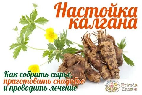 Как настоять калган