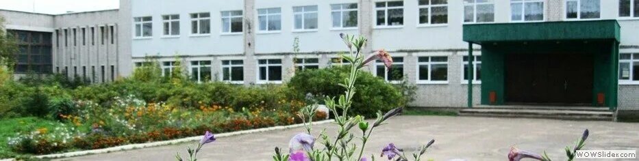 школа 5 гагарина тамбов. школа 5 номер телефона. тагилстрой школа 5 нижний тагил.