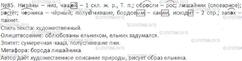 Русский 8 класс номер 337. Низины облюбованы. Низины облюбованы ельником. Русский язык 6 класс ладыженская номер 471. Низины облюбованы стиль текста.