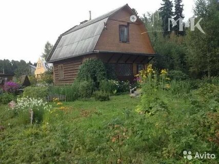 Участок снт пушкинский московская область