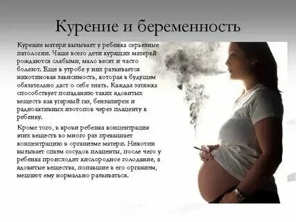 Куренок форум