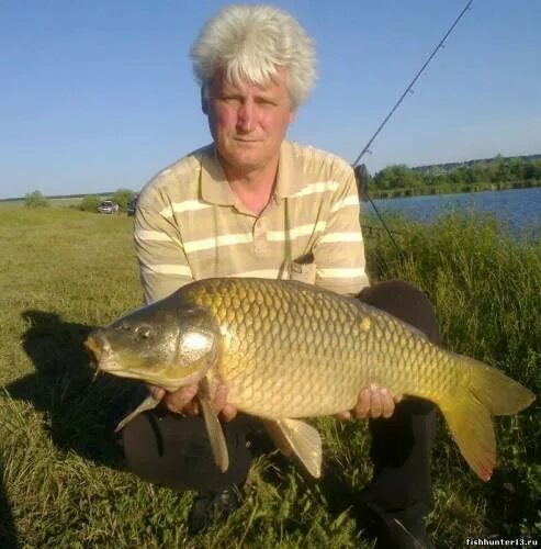 Рыболовство в мордовии. На рыбалке по мордовии. Платная рыбалка саранск. Рыбаки мордовии. Пруд заря пенза.