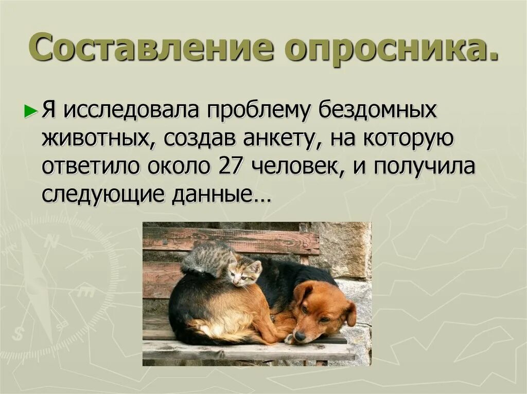 Бездомные животные проблема общества. Проблема бездомных животных. опросник бездомные животные. изучить проблему бездомных животных. бездомные животные проблема.