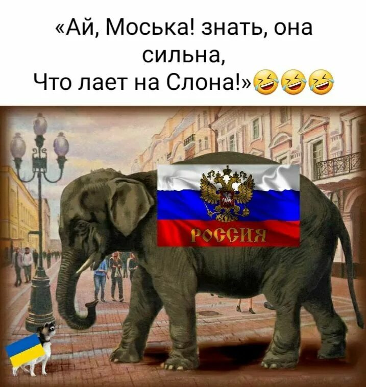 Знать она сильна что лает на слона. Моська знать она сильна что лает на слона. Моська знать она сильна. Слон и моська. Слон и моська карикатура.